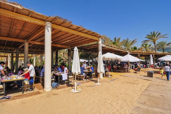 Edde Sands on Sunday